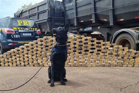 Prf Apreende Kg De Pasta Base De Coca Na Em Campo Grande Capital