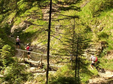 Dav T Bingen Hauptnavigation Tourenbericht Mountainbike Fotostrecke