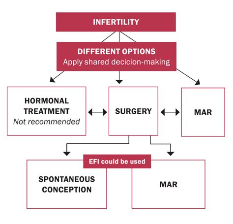 Endometriosis A Review Medical Independent