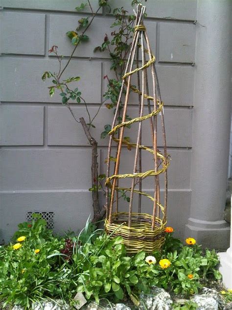 Willow Weaving Plant Support Obelisk Denmark Farm Conservation