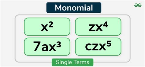 What is Monomial? - GeeksforGeeks