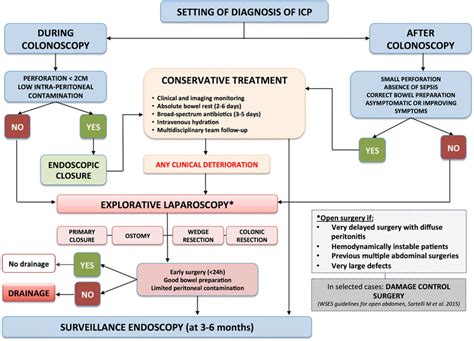 Comprehensive Algorithm For The Management Of Iatrogenic Colonoscopy Download Scientific