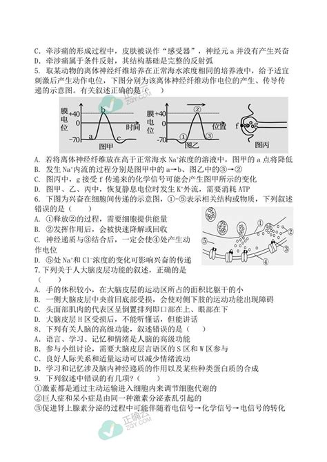 辽宁省六校2023 2024学年高二上学期第二次联考生物试卷正确云资源