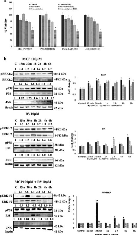 Activation of JNK, p38, and ERK signaling pathways after MCP and/or RV ... 