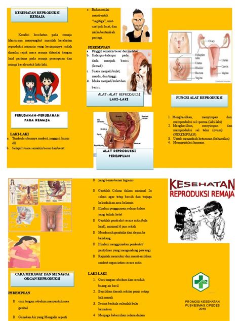 Leaflet Kesehatan Reproduksi Remaja Pdf