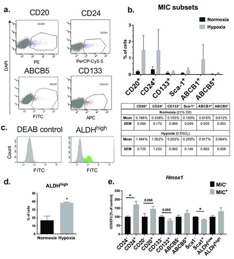 Frequency Of Cells Expressing MIC Markers In B16 F10 Murine Melanoma