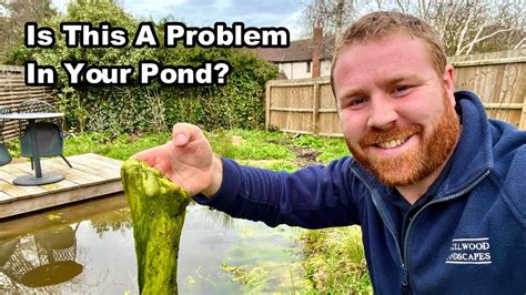 How To Manage Blanket Weed In Your Pond Youtube