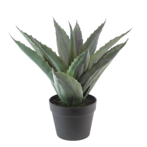 Plante Verte Agave Artificielle Pineuse Cm Artiplantes