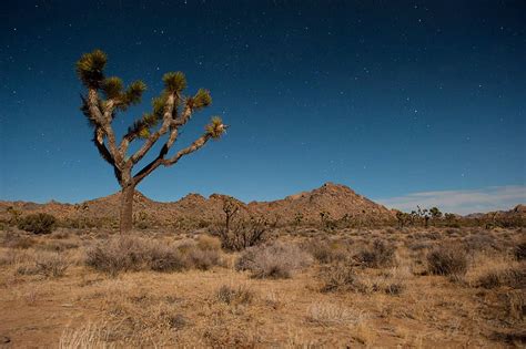 Three Crucial Desert Regions In California Gain Monument Status