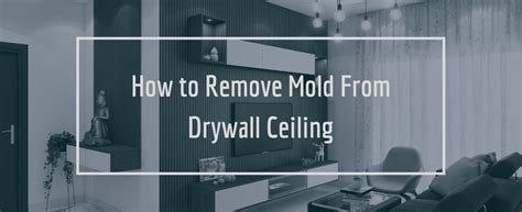 How To Remove Mold From Drywall Ceilings Step By Step Guide