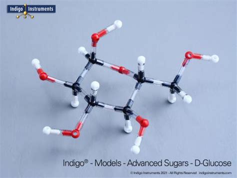 Sugar Structures Molecular Model Kit, Indigo