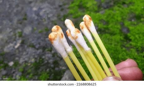 6,240 Earwax Stock Photos, Images & Photography | Shutterstock