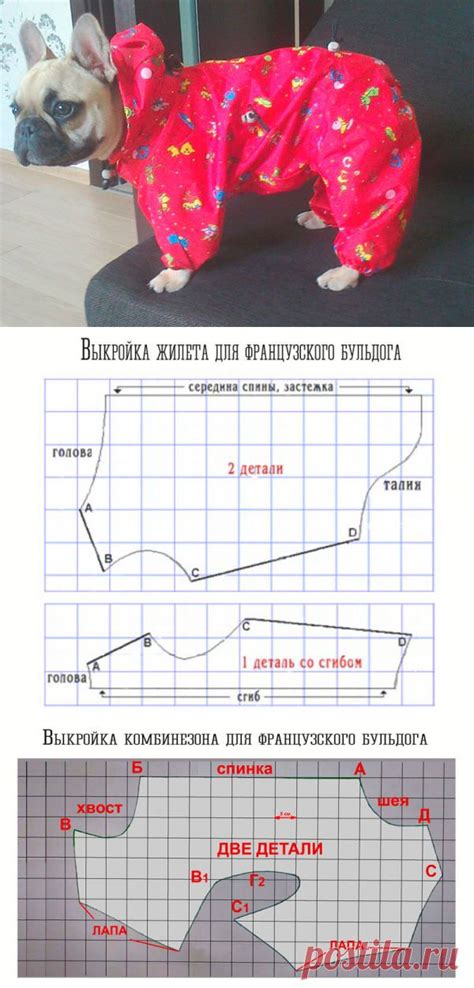Мохнаши))) в 2024 г | Французский бульдог, Одежда для собак, Свитер для ...