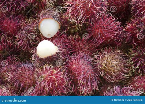 Rambutan Fruit Stock Photo Image Of Healthy Malaysian 45219510