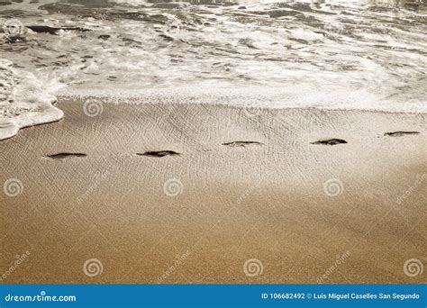 Trajeto Das Pegadas Na Areia De Uma Praia Foto De Stock Imagem De