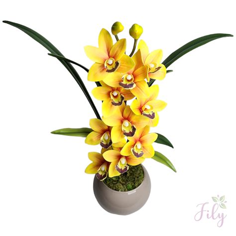 Arranjo De Orqu Dea Cymbidium Amarela Vaso Vidro Nude Fily Flores