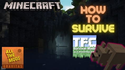 How To Survive Your First Days In TerraFirmaCraft 1 18 All The Mods