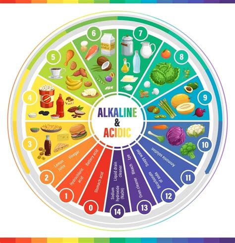 3,125 Acidic And Alkaline Foods Images, Stock Photos, 3D objects ...