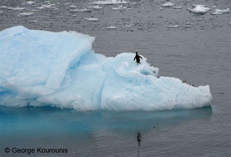 Antarctica - Icebergs & Glaciers