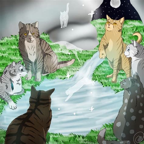 картинки коты воители солнца 68 фото