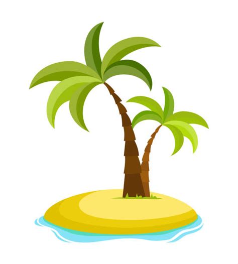 Shadow Palm Trees Tropical Beach Cartoon Illustrations Royalty Free