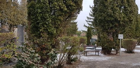 Friedhof Bad Vöslau Vom Wert historischer Friedhöfe Natur im Garten