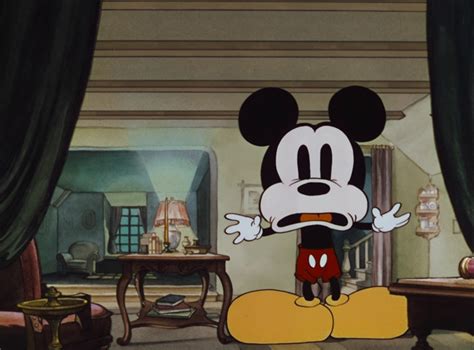 Mickey Mouse Thru The Mirror