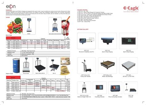 EAGLE Stainless Steel Platform Electronic Weighing Scale Model Name