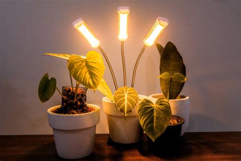 How To Use Led Grow Lights For Indoor Plants Brite Labs