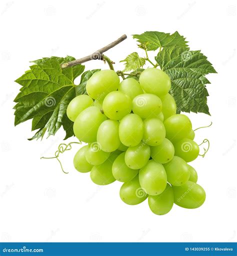 Manojo De Uvas Verdes Frescas Aisladas En El Fondo Blanco Imagen De