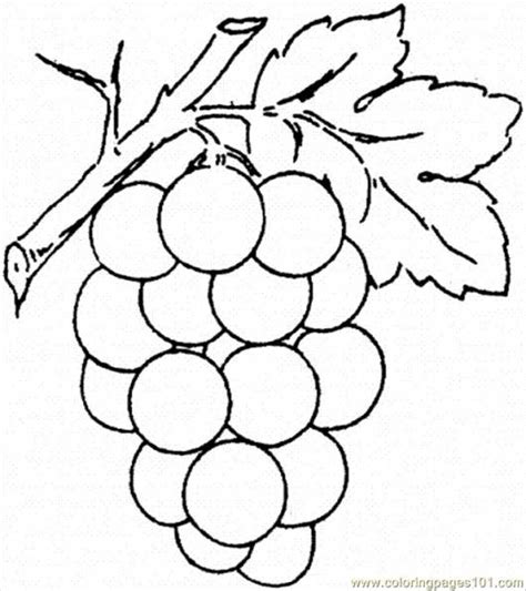 Desenhos De Frutas Para Colorir Fotos Prontas Para Imprimir