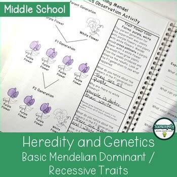 Heredity Dominant And Recessive Mendelian Genetics Activities And