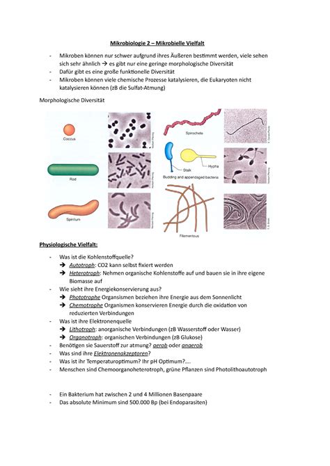 Mikrobiologie Mikrobielle Vielfalt Mikrobiologie Mikrobielle