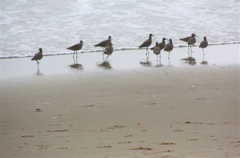 La Selva Beach, Watsonville, CA - California Beaches