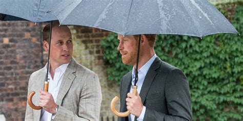 Prince William Voices Concerns For Prince Harry S Privacy In Unearthed Clip At Home Royal News