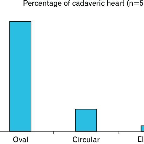 Showing extent and location of Limbus fossa ovalis in the interatrial ...