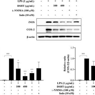 Effect Of Dsht On Inos And Cox Expression In Lps Stimulated Raw