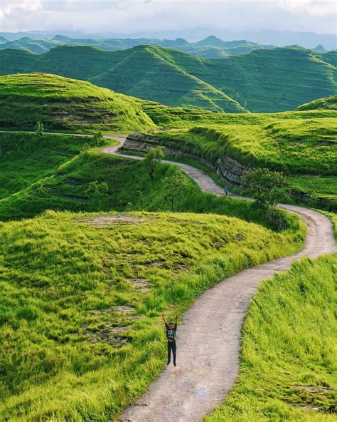 Catat Bukit Di Sumba Yang Savananya Sangat Indah