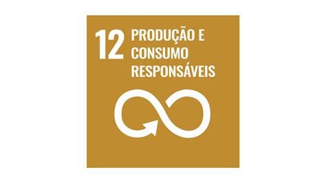 ODS 12 Consumo e produção responsáveis O que eu tenho a ver isso