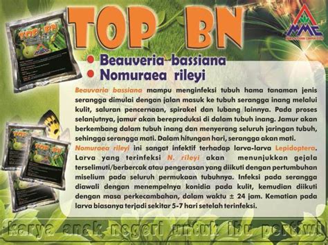 Cara Kerja Top BN Agrokompleks Kita