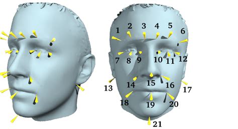 The Aflw Markup Defines 21 Facial Landmarks That Are Located Between