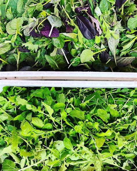 The Cook and Her Farmer - Home