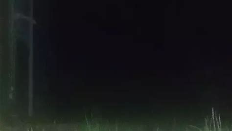 Kigurumi Doll Cumshot Free A Shemale HD Porn D3 XHamster