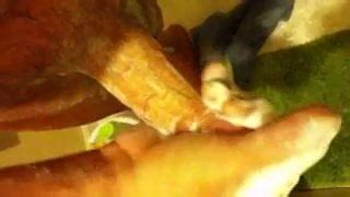 Soapy Stroke Solo Amateur Porn XHamster