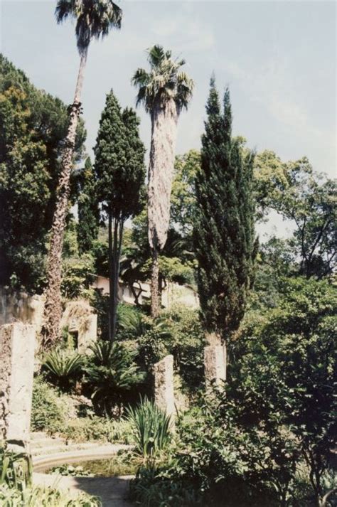 Serre De La Madone Menton Francia Giardini Del Mondo