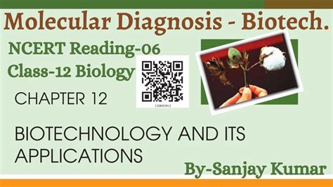 Molecular Diagnosis Biotechnology And Its Applications Ncert