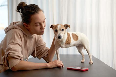 Discapacidades físicas que sufren los perros más comúnmente NUPEC