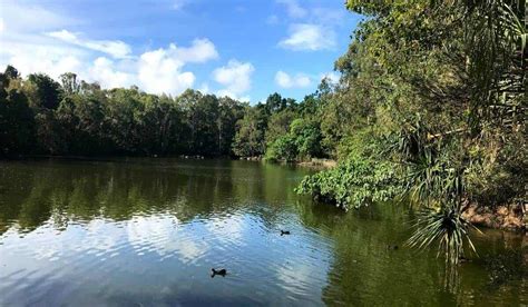 bundaberg  kids  complete family guide
