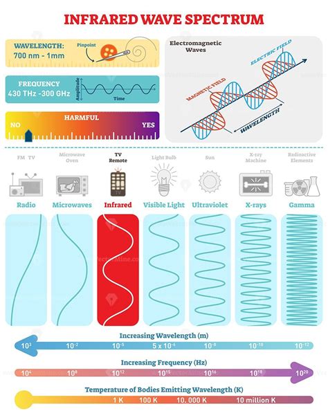 Electromagnetic Waves: Infrared Spectrum - VectorMine