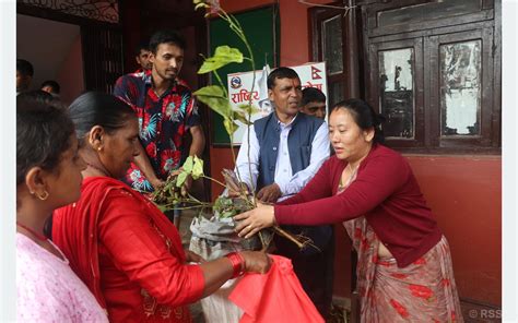 रामपुर नगरपालिकाले गर्‍यो किसानलाई घाँसका बिरुवा वितरण Dcnepal